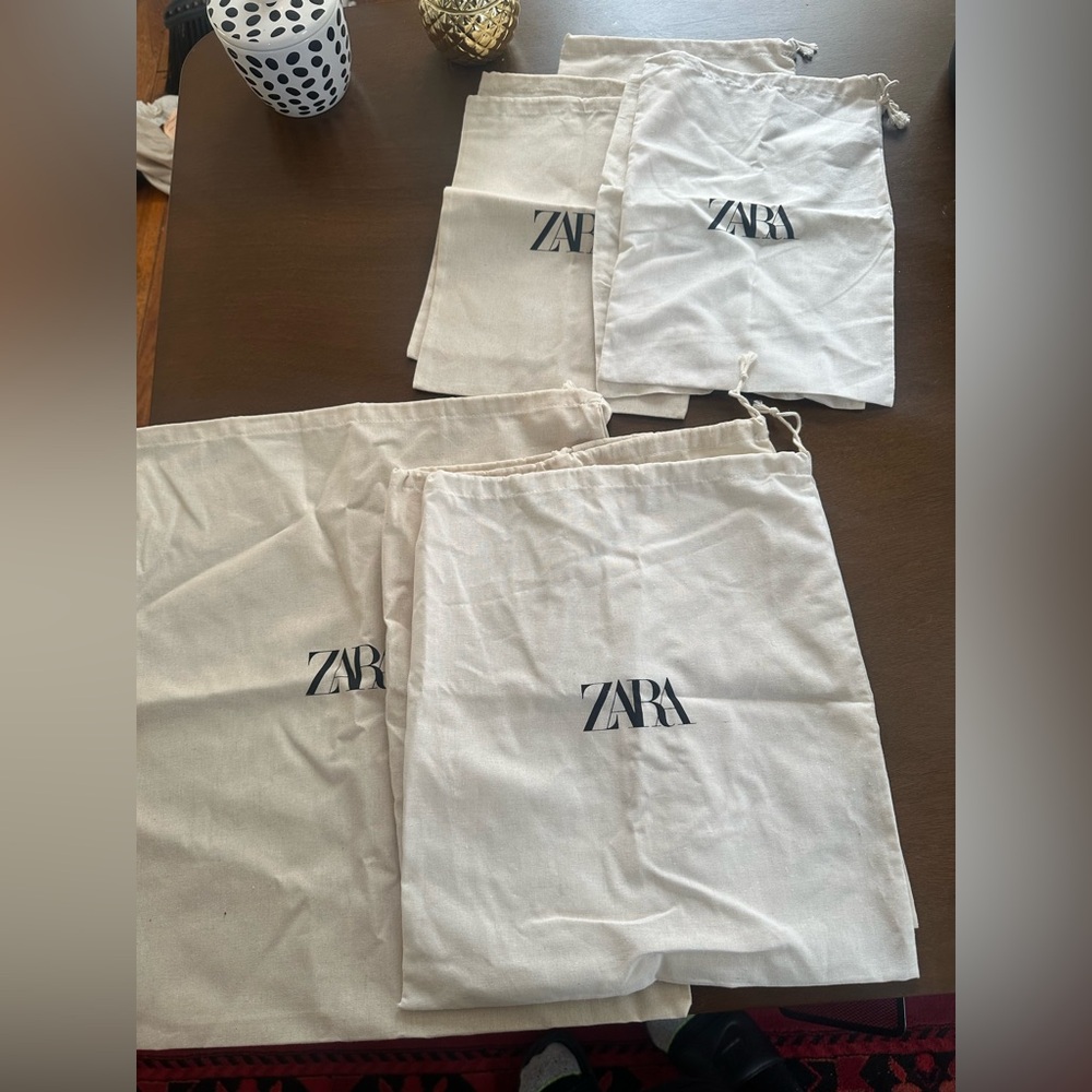 8 Zara Bags